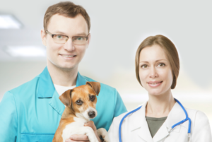 hospedagem-veterinaria